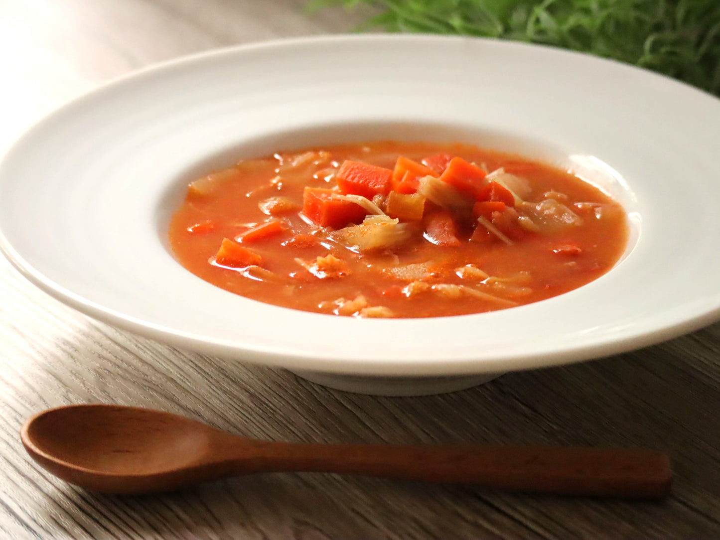 【5点セット】体脂肪デトックス脂肪燃焼スープ ×5点
