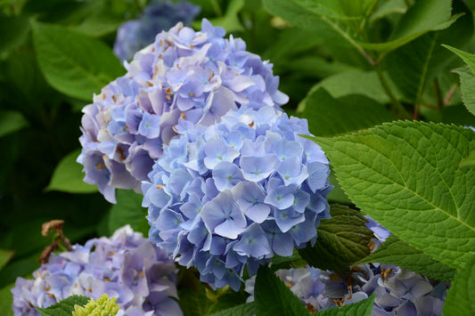 vol.143_夏までに痩せたい人が6月にやるべきこと